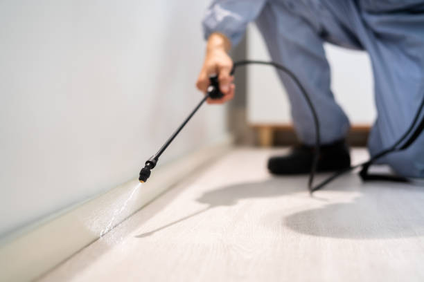 Bed Bug Pre-Treatment Preparation Assessment in Granite Falls