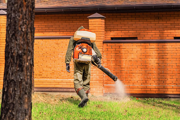 Bed Bug Clearance Verification and Documentation in Granite Falls